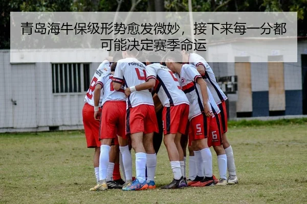 img_1781091393591_44_2_438.jpg