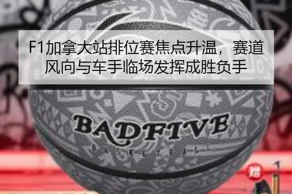 img_1781370139569_80_1_775.jpg